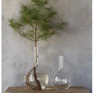 LARGE Mouth Blown Glass Toledo Vase